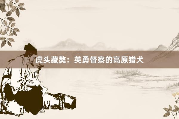 虎头藏獒：英勇督察的高原猎犬