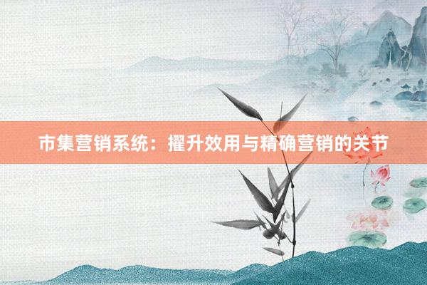 市集营销系统：擢升效用与精确营销的关节