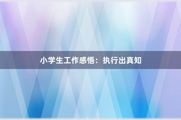 小学生工作感悟:执行出真知